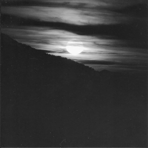 免费特美囯级黄片毛片
