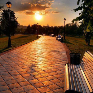 免费特美囯级黄片毛片
